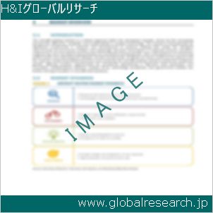 グローバルリサーチ調査レポートのイメージ